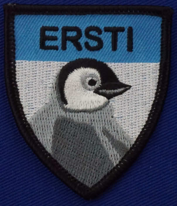 Ersti Patch echt